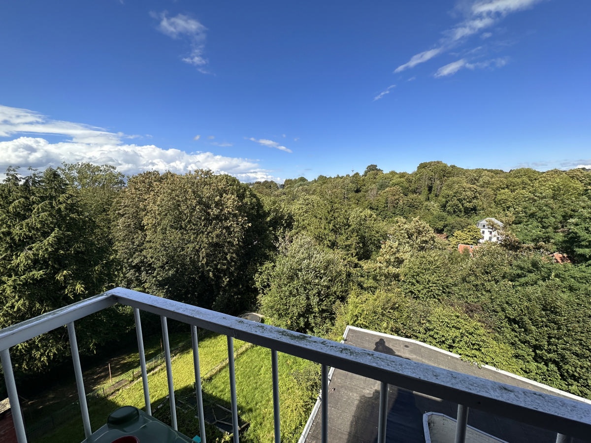 Galerie de VERVIERS: Appartement une chambre avec vue époustouflante!